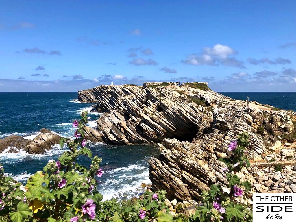 Wild flowers on the cliffs