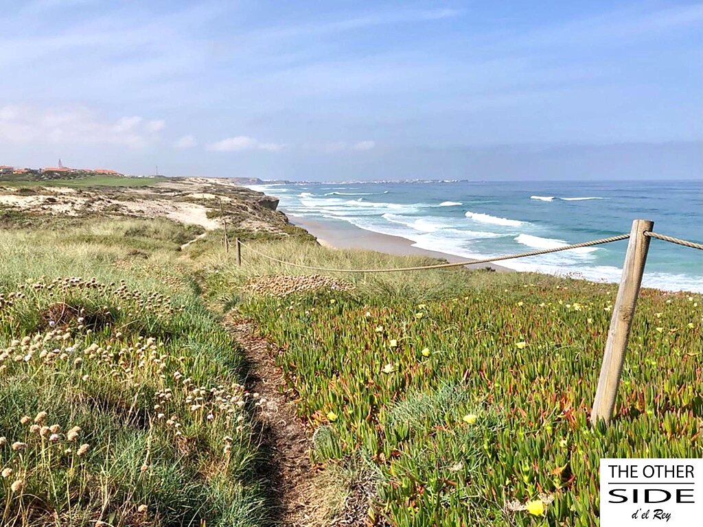 Coastal path through the vegetation